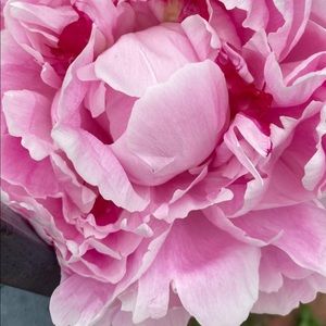 Meet your Posher, Hilena